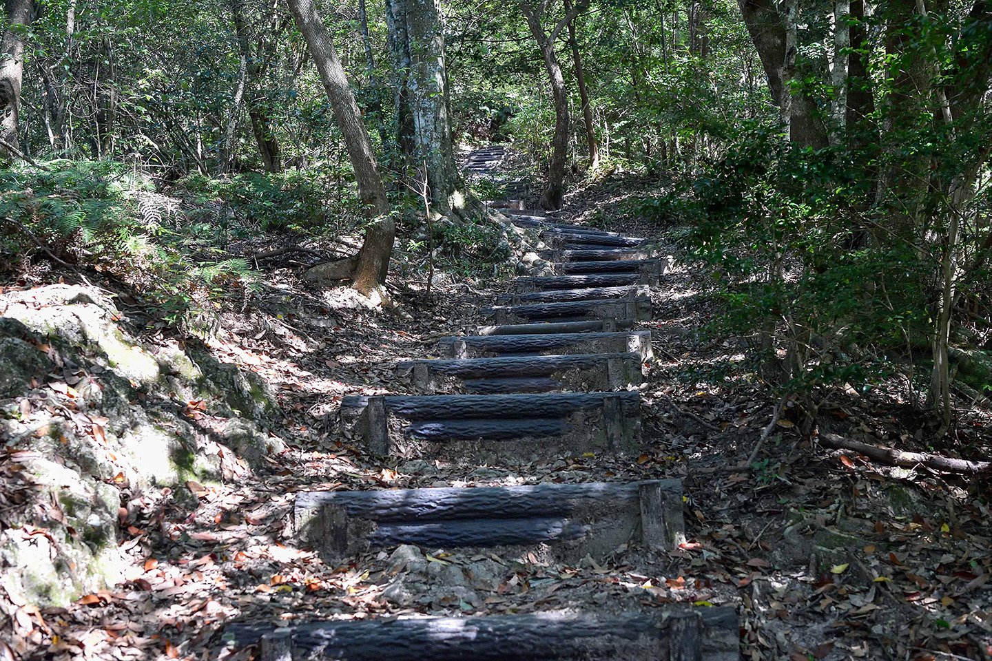🏞️ 거석 공원 (쿄세키 파크)